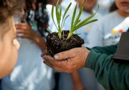The Power of Volunteering in Sports: Exploring Opportunities in McHenry County, IL